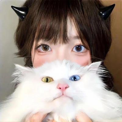 逍遥骑士
