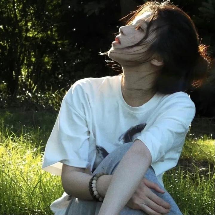灰鸽子之歌